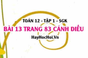 Bài 13 trang 83 Toán 12 tập 1 Cánh Diều